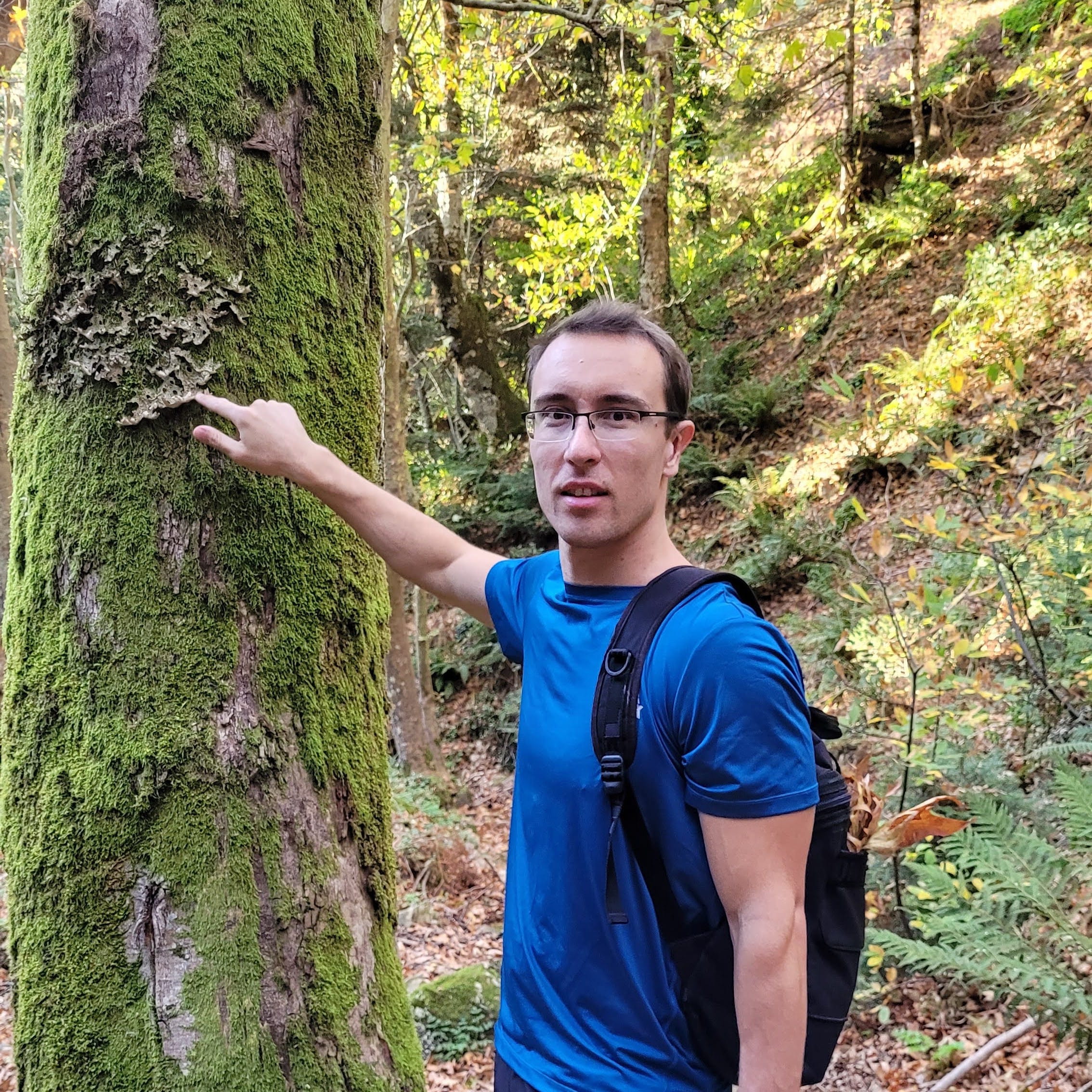 Alexander Kyriakou touching a tree in Steni Dirfyos during the autumn season in 2024